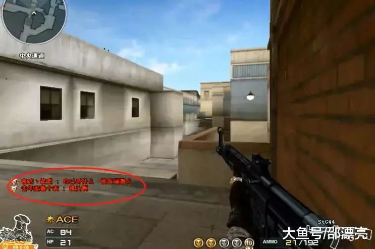 LPL解说瞳夕分享照片：是自由的感觉，海的那边是什么？